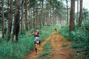 BIB: 
                            <button type="button" onclick="openModal(25660663)" class="btn btn-primary btn-sm float-right btn-popup" data-toggle="modal" data-target=".modal-high-quality">
                        <i class="fas fa-shopping-cart"></i> Add to Cart
                    </button>
                                            <button type="button" onclick="isThisMe(25660663, true)" class="btn btn-success btn-sm float-right btn-popup btn-isme hidden" data-toggle="tooltip" data-placement="bottom" title="นี่คือรูปของคุณใช่ไหม คลิกที่นี่เพื่อเอาเข้าอัลบั้ม">
                        <i class="fas fa-plus"></i> Add to album
                    </button>
                    <button type="button" onclick="isThisMe(25660663, false)" class="btn btn-warning btn-sm float-right btn-popup btn-isnotme hidden">
                        <i class="fas fa-ban"></i> Remove from album
                    </button>